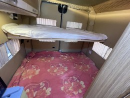 大通 B型