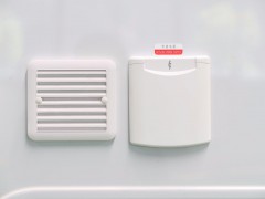 WLH_2481