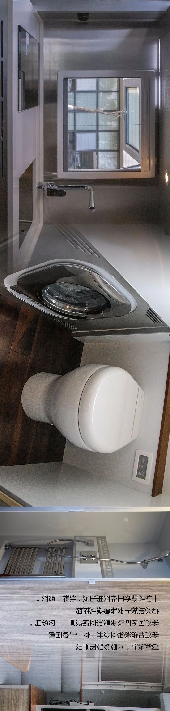 一“义”孤行，探索南极，诺马相伴图片