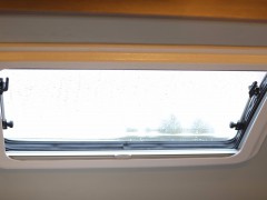 WLH_6262