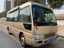 晶马 B型罗莎
