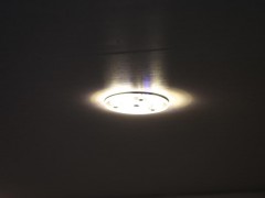 WLH_8543