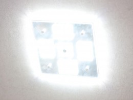 WLH_7693