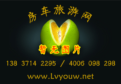 中美诺优大通V80