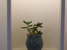 WLH_1157