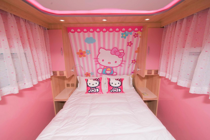 天晟房车8m粉红猫主题房车 18.8万元 DSC_3031_副本