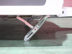 WLH_8571