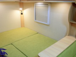 疯行 T4