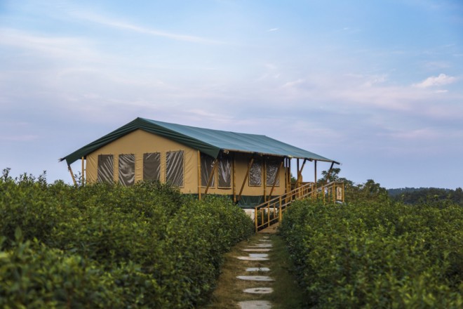 江苏常州宝盛园茶园帐篷酒店夜景喜马拉雅野奢帐篷酒店&mdash;宝盛园夜色9