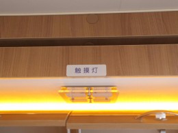 WLH_9276