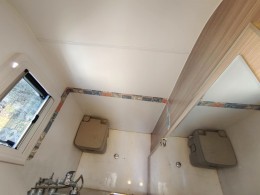 小绵羊 2020款460