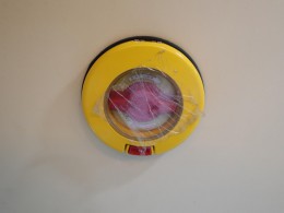 WLH_9451