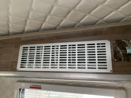寄居蟹 c型