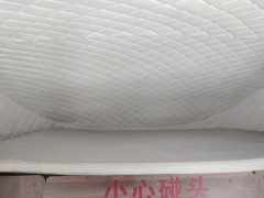 威士捷 北汽黑豹