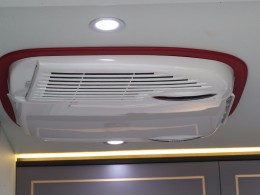 WLH_5606