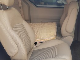 上汽大通MAXUS房车 商务