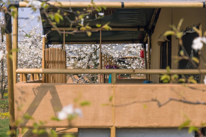 安徽砀山东篱蓬芦梨园帐篷酒店（41平）喜马拉雅野奢帐篷酒店&mdash;安徽砀山东篱蓬芦（梨园41平）16