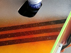 金杯 海狮
