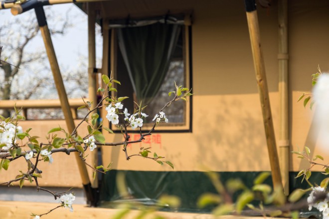 安徽砀山东篱蓬芦梨园帐篷酒店（41平）喜马拉雅野奢帐篷酒店&mdash;安徽砀山东篱蓬芦（梨园41平）15