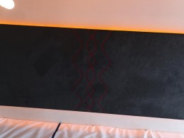 WLH_1586