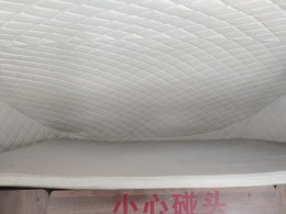 威士捷 北汽黑豹