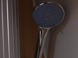 WLH_6294