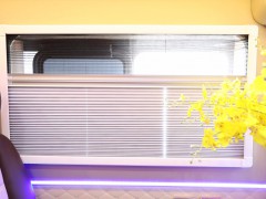 WLH_2479
