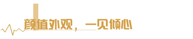 C533旗舰版无拓展｜家、公司，你的第三空间？图片
