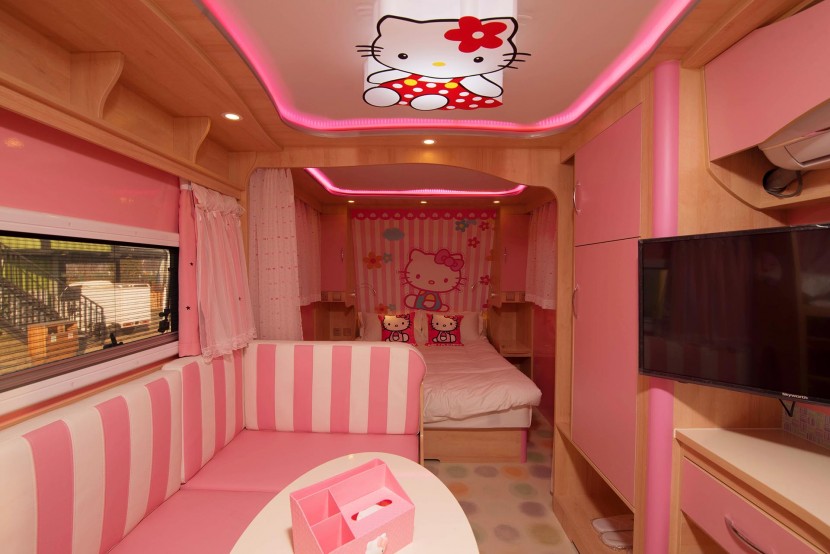 天晟房车8m粉红猫主题房车 18.8万元 DSC_3052_副本