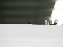 WLH_4478