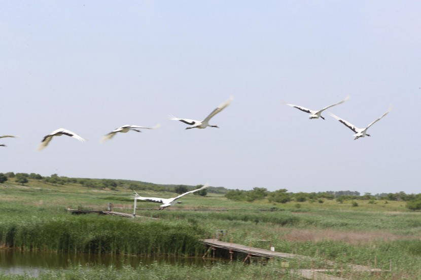 image029