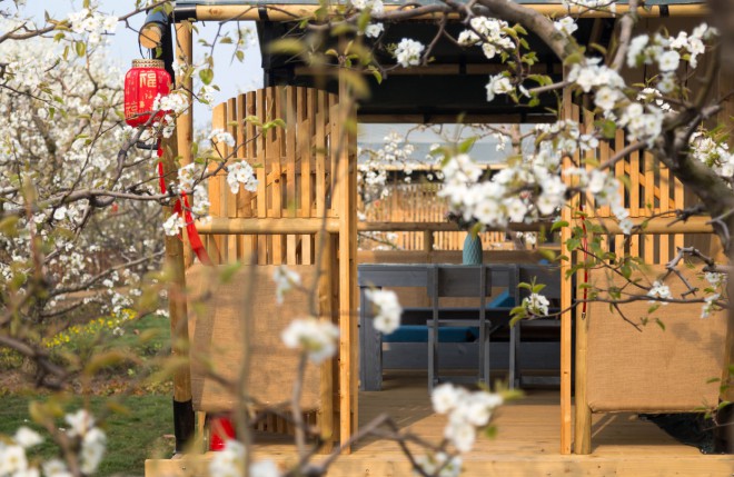安徽砀山东篱蓬芦梨园帐篷酒店（54平）喜马拉雅野奢帐篷酒店&mdash;安徽砀山东篱蓬芦梨园帐篷酒店7