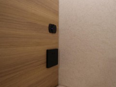 WLH_4576