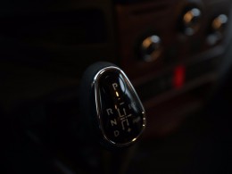 WLH_5645