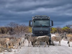 51c72c6fce40066c91015287c8