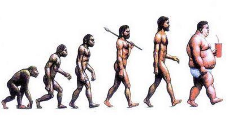 微信图片_20200210115451