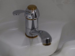 WLH_1113