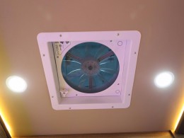 WLH_2677