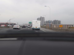 WLH_8398