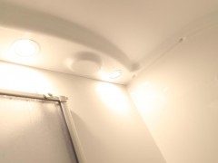 WLH_2872