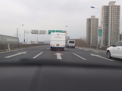 WLH_8395