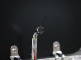 WLH_7651