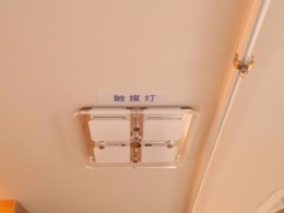 WLH_9181