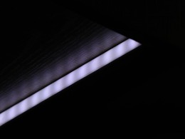 WLH_7978