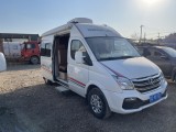大通 B型