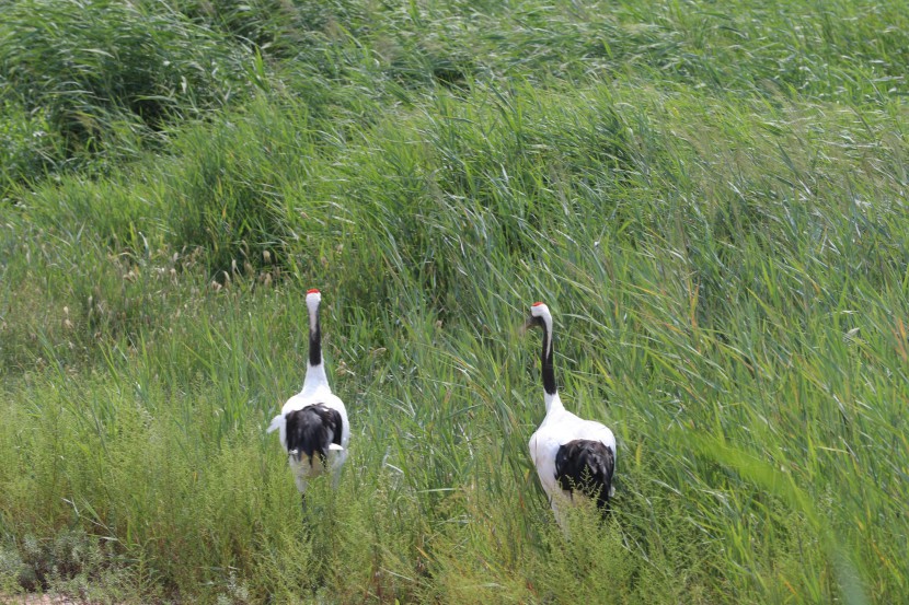 image031