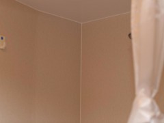 WLH_3882