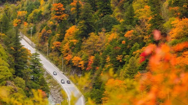 西行记——“大白”的西北之旅图片