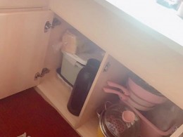 新飞 2019款祥菱