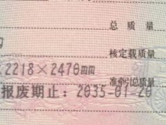 寄居蟹 c型